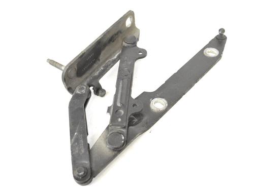 Hinge/Door check strap LAND ROVER RANGE ROVER SPORT I (L320) 2.7 D 4x4 | BP14778589C146 