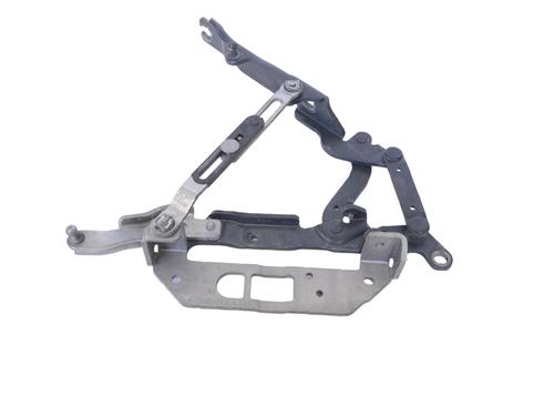 Used Hinge/Door check strap BMW 5 (F10) 520 d (184 hp) 14805411