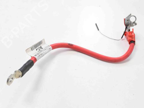 Used Cable JAGUAR XF I (X250) 3.0 D (211 hp) 8857929