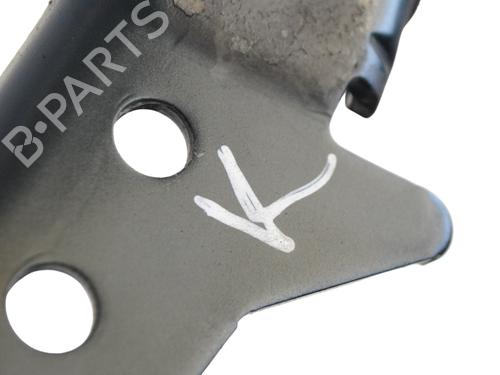 Hinge/Door check strap BMW X6 (E71, E72) xDrive 40 d | BP16262146C146 