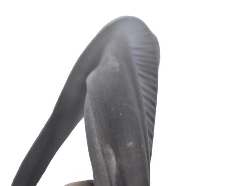 Rubber door seal VW TOUAREG (7LA, 7L6, 7L7) 3.0 V6 TDI | BP14804160C142 