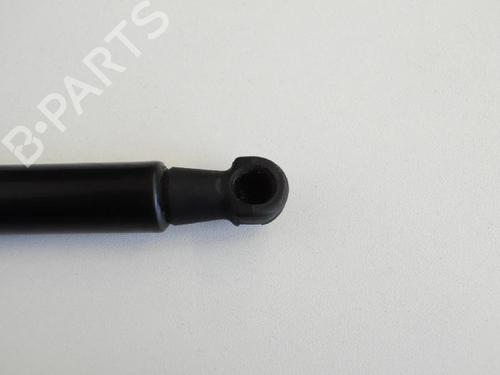 Tailgate lift support BMW 3 Coupe (E92) M3 | BP14811275C138 