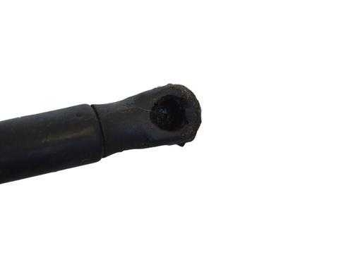 Hood lift support JAGUAR XF I (X250) 3.0 D | BP19509766C139 
