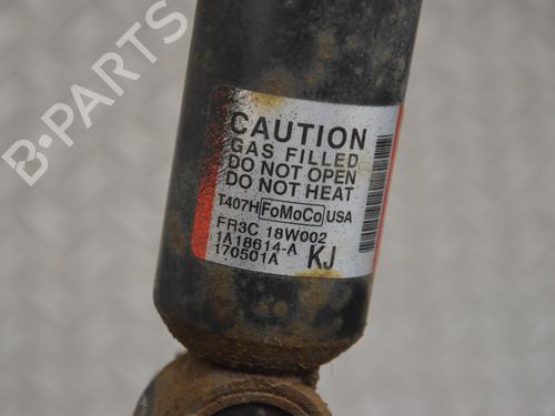 Left rear shock absorber FORD USA MUSTANG Convertible 5.0 V8 | BP15482206M18 