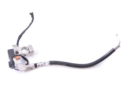 Used Cable BMW 5 (G30, F90) 525 d (211 hp) 10062179