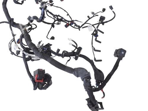 Wiring harness JAGUAR E-PACE (X540) 2.0 AWD | BP14804144E16 