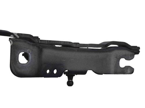 Hinge/Door check strap BMW 5 (F10) 535 d | BP17143398C146