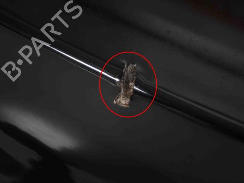 Tailgate MERCEDES-BENZ S-CLASS Coupe (C217) S 63 AMG (217.377) | BP29752410C6