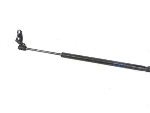 Used Hood lift support TESLA MODEL S (5YJS) 75D AWD (525 hp) 19941186