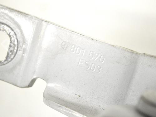 Hinge/Door check strap MINI MINI COUNTRYMAN (R60) Cooper D ALL4 | BP14776406C146 