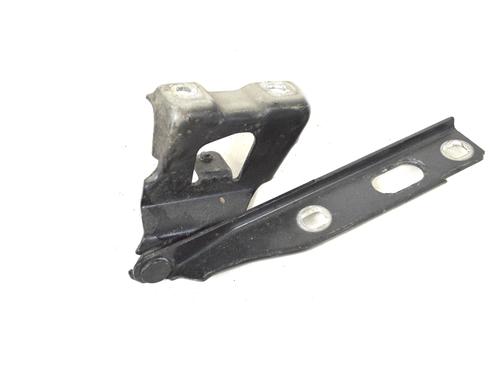 Hinge/Door check strap AUDI A4 B8 (8K2) 1.8 TFSI | BP14780748C146 