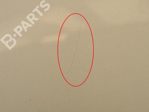 Tailgate MERCEDES-BENZ CLS (C219) CLS 350 (219.356) | BP8349756C6 