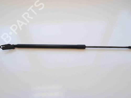 Used Tailgate lift support NISSAN X-TRAIL II (T31) 2.0 dCi 4x4 (150 hp) 14808801