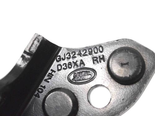 Hinge/Door check strap LAND ROVER RANGE ROVER EVOQUE (L538) 2.0 D 4x4 | BP14797891C146 