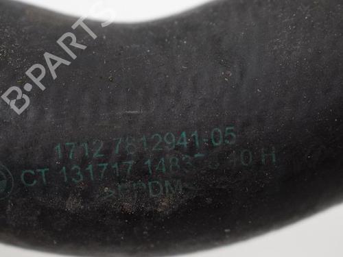 Pipe BMW 3 (F30, F80) 330 d xDrive | BP14817667M125 