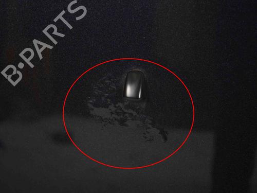 Hood DODGE RAM 1500 Pickup (DJ, DS) 5.7 4x4 | BP29730275C1