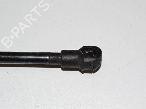 Hood lift support BMW 3 Coupe (E92) 335 d | BP14813517C139 