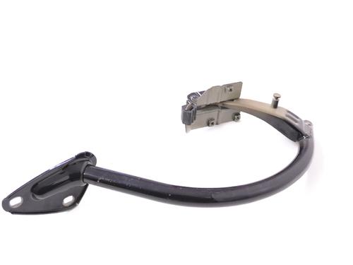 Hinge/Door check strap VW CC B7 (358) 2.0 TDI | BP14773200C146 