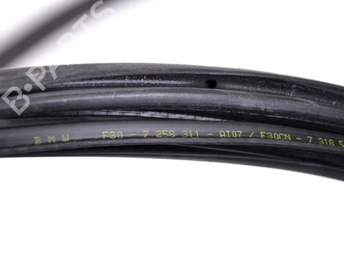 Rubber door seal BMW 3 (F30, F80) 320 d | BP14789521C142