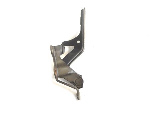 Hinge/Door check strap TOYOTA COROLLA Verso (ZER_, ZZE12_, R1_) 2.2 D-4D (AUR10_, AUR10R) | BP14780111C146 