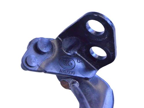 Hinge/Door check strap LAND ROVER RANGE ROVER EVOQUE (L538) 2.0 D | BP14806357C146 