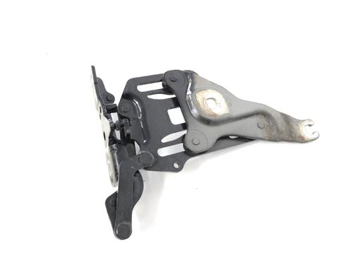 Hinge/Door check strap BMW X5 (E70) xDrive 30 d | BP14770330C146 
