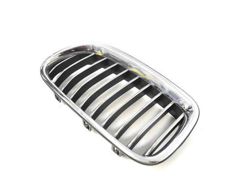 Grille BMW 5 (F10) ActiveHybrid | BP9229761C40 