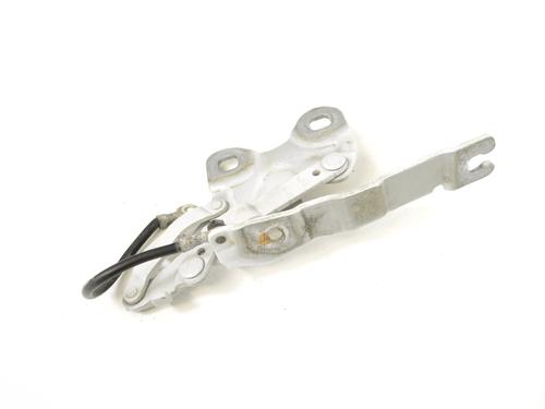 Hinge/Door check strap MINI MINI COUNTRYMAN (R60) Cooper D ALL4 | BP14776406C146 