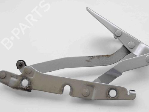 Hinge/Door check strap AUDI A4 B7 (8EC) 2.0 TDI 16V | BP14799274C146