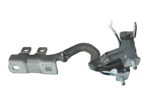 Hinge/Door check strap BMW 6 Convertible (F12) 640 d | BP16021643C146 