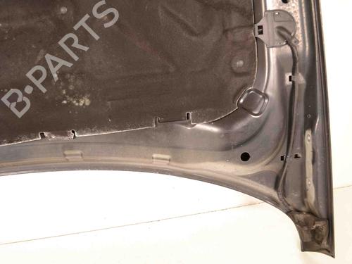 Hood LAND ROVER RANGE ROVER SPORT I (L320) 2.7 D 4x4 | BP29730244C1