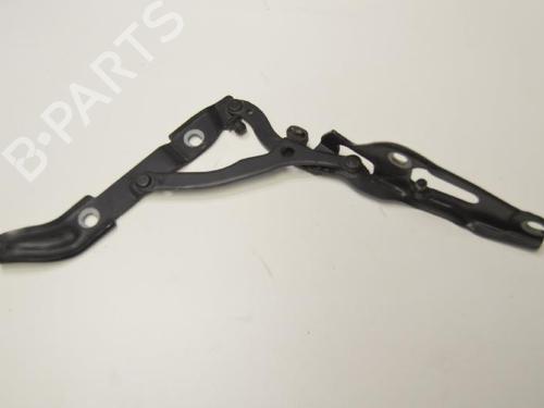 Hinge/Door check strap BMW 3 (E90) 320 d | BP14811482C146 