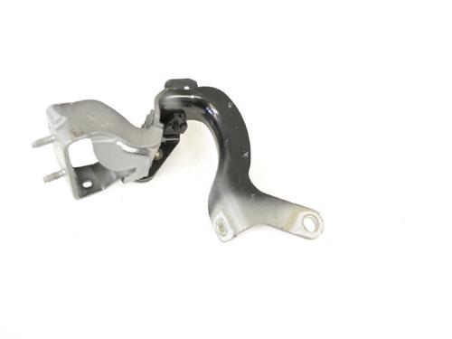 Hinge/Door check strap AUDI Q7 (4LB) 4.2 TDI quattro | BP14768897C146 