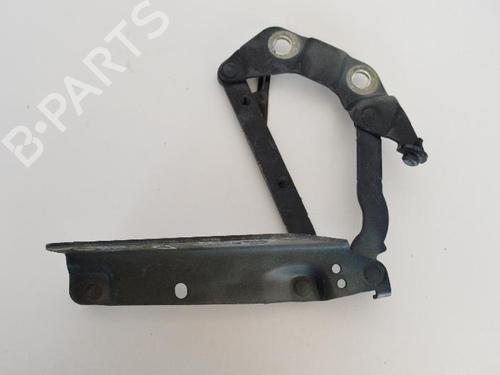 Hinge/Door check strap LAND ROVER FREELANDER 2 (L359) 2.2 TD4 4x4 | BP14812779C146 