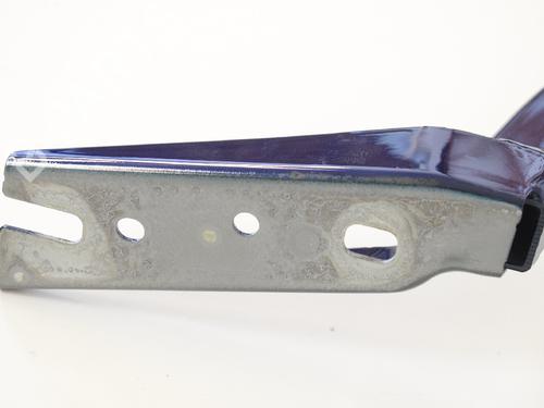 Hinge/Door check strap AUDI A5 Sportback (F5A, F5F) S5 TFSI quattro | BP14769409C146 