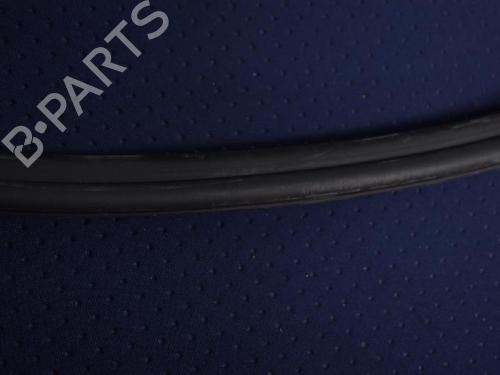 Rubber door seal AUDI Q5 (8RB) SQ5 TDI quattro | BP28154385C142 