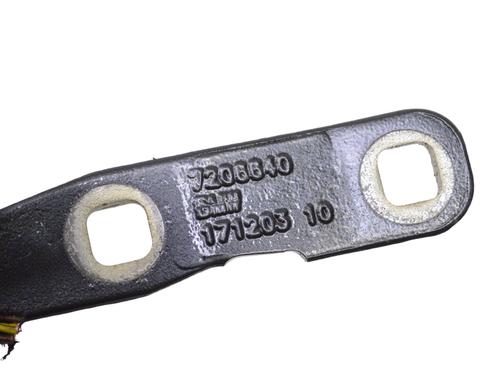 Hinge/Door check strap BMW 5 Touring (F11) 530 d | BP14802477C146 