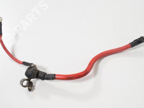 Used Cable JAGUAR S-TYPE II (X200) 2.7 D (207 hp) 8867991