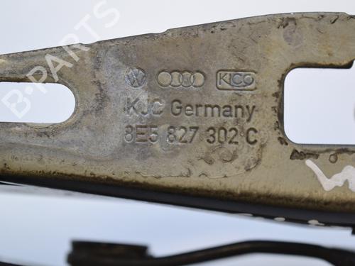 Hinge/Door check strap AUDI A4 B7 (8EC) 2.0 TFSI | BP19942117C146 