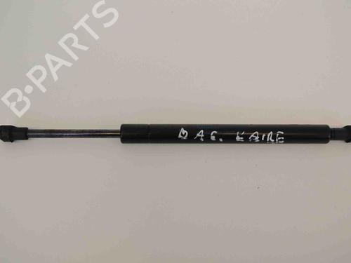 Used Tailgate lift support VW TOUAREG (7LA, 7L6, 7L7) 2.5 R5 TDI (174 hp) 19942164