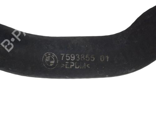 Pipe PORSCHE 911 (997) 3.6 Carrera | BP14806919M125 