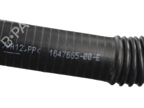 Pipe TESLA MODEL Y (5YJY) EV Performance All-wheel Drive | BP27827778M125 