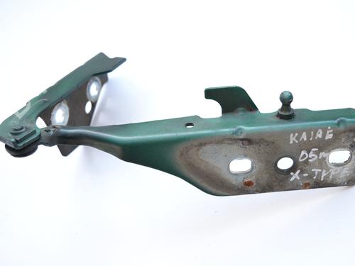 Hinge/Door check strap JAGUAR X-TYPE I (X400) 2.0 D | BP19941869C146 