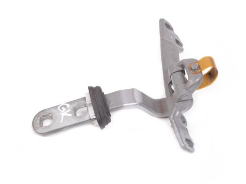 Hinge/Door check strap BMW X4 (F26) xDrive 30 d | BP14789176C146 