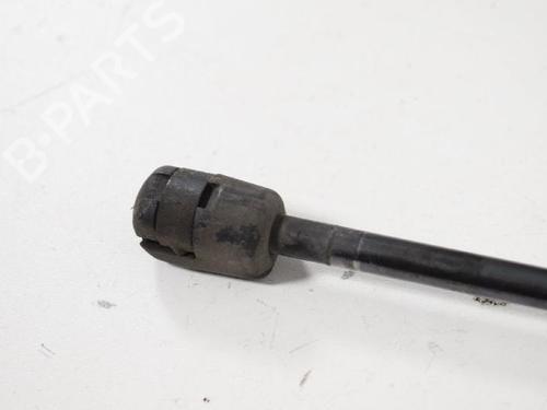 Hood lift support LAND ROVER FREELANDER 2 (L359) 2.2 TD4 4x4 | BP14815923C139 