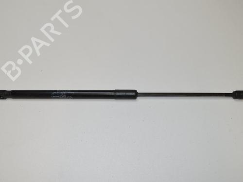 Used Tailgate lift support MERCEDES-BENZ A-CLASS (W169) A 180 CDI (169.007, 169.307) (109 hp) 14813434