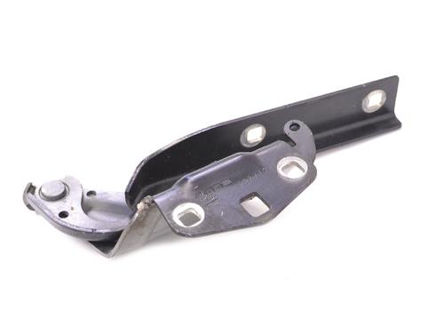 Hinge/Door check strap VW CC B7 (358) 2.0 TDI | BP14773205C146 