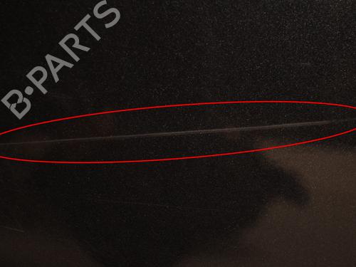 Left rear door MERCEDES-BENZ S-CLASS (W221, V221) S 350 BlueTec (221.026, 221.126) | BP16274353C4 
