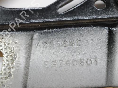 Hinge/Door check strap MERCEDES-BENZ R-CLASS (W251, V251) R 320 CDI 4-matic (251.022, 251.122) | BP14814059C146 