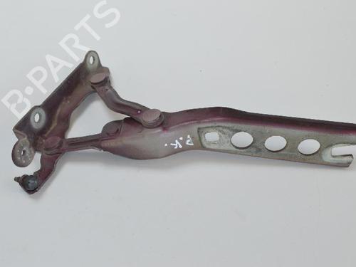 Hinge/Door check strap SKODA OCTAVIA II Combi (1Z5) 2.0 TDI 16V | BP14808831C146 
